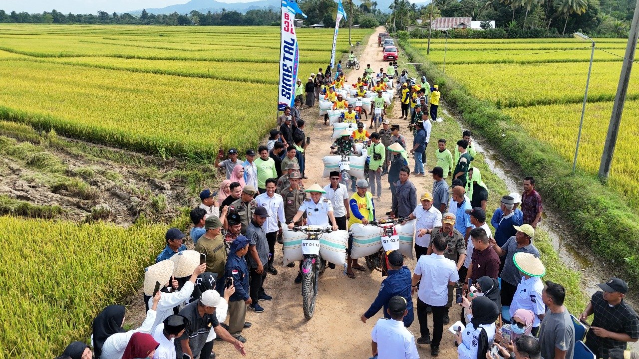 Panen Raya di Desa Alakaya, Sinergi Bupati dan Petani Milenial Wujudkan Swasembada Pangan Konawe Selatan