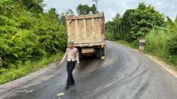Truk Mogok Kelebihan Muatan di Tanjakan Poros Kendari–Konsel, Lalulintas Sempat Tersendat